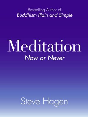 cover image of Meditation Now or Never